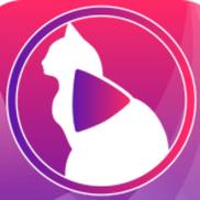 小猫app直播软件