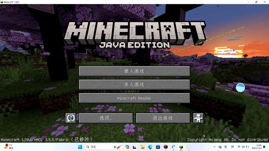 我的世界(java版)