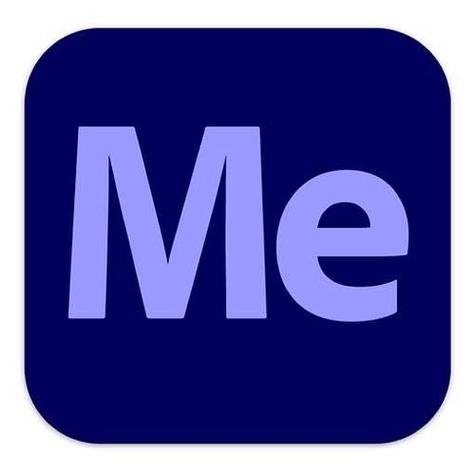 me语音安卓下载极速版