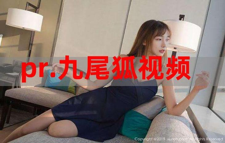 pr九尾狐狸免费入口安卓精简版