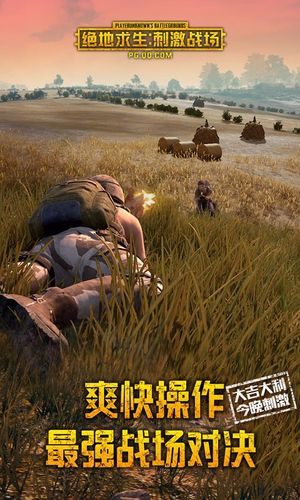 刺激战场单机版下载