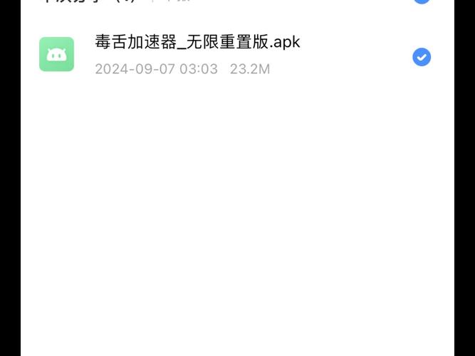 毒舌加速器安装包