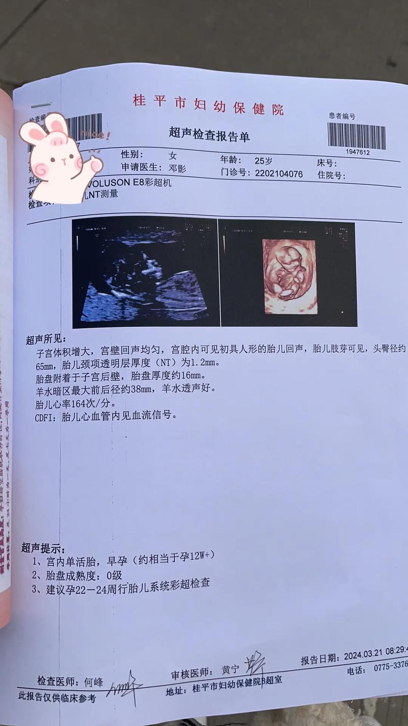 NT动漫高级版