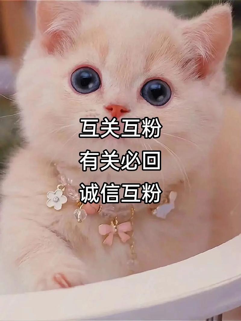抖音无限互粉