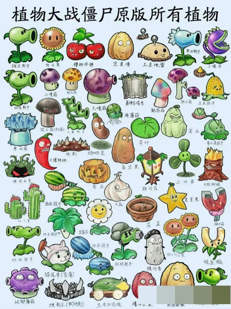 植物大战僵尸人最新正版