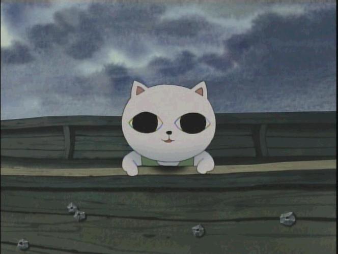 猫汤物语
