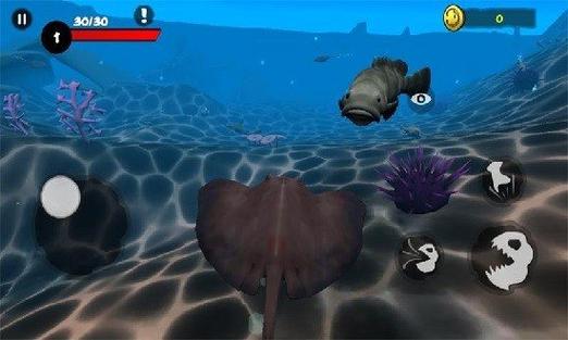 海底大猎杀破解版无限金币中文版GeoMax