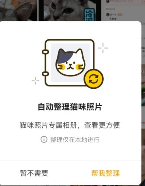 猫咪app官网永久地址