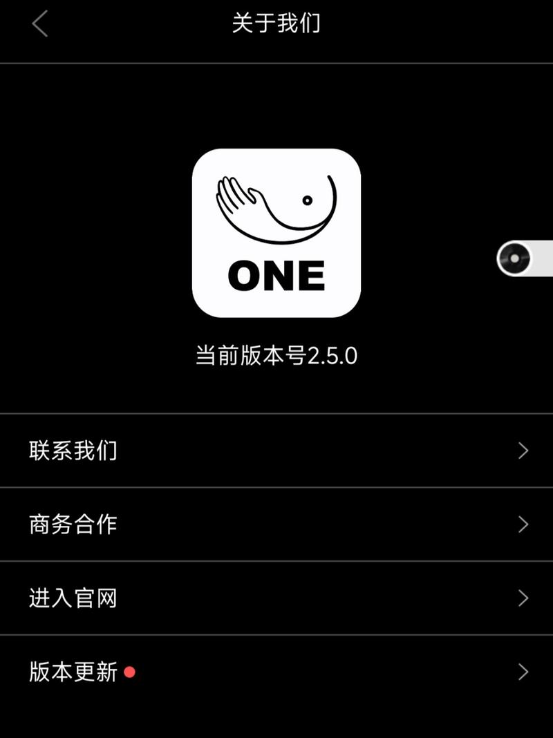 one一个致敬回家地址