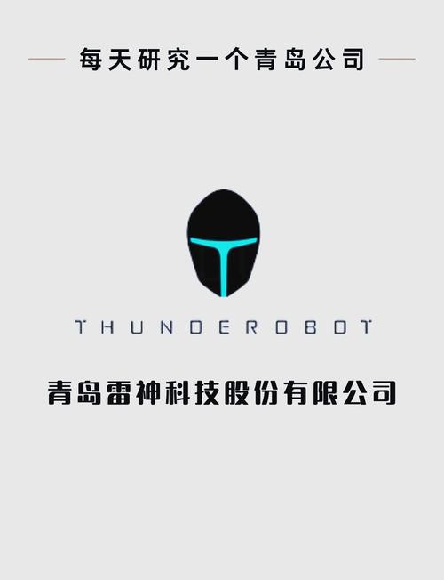 雷神辅助官网