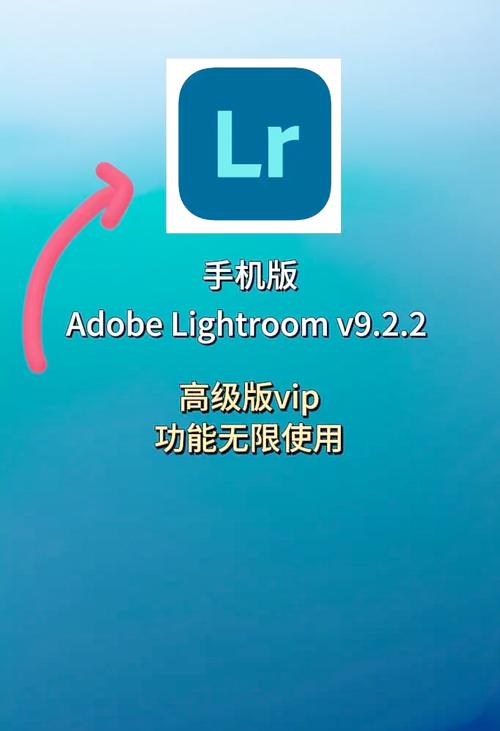 lr下载手机无广告版