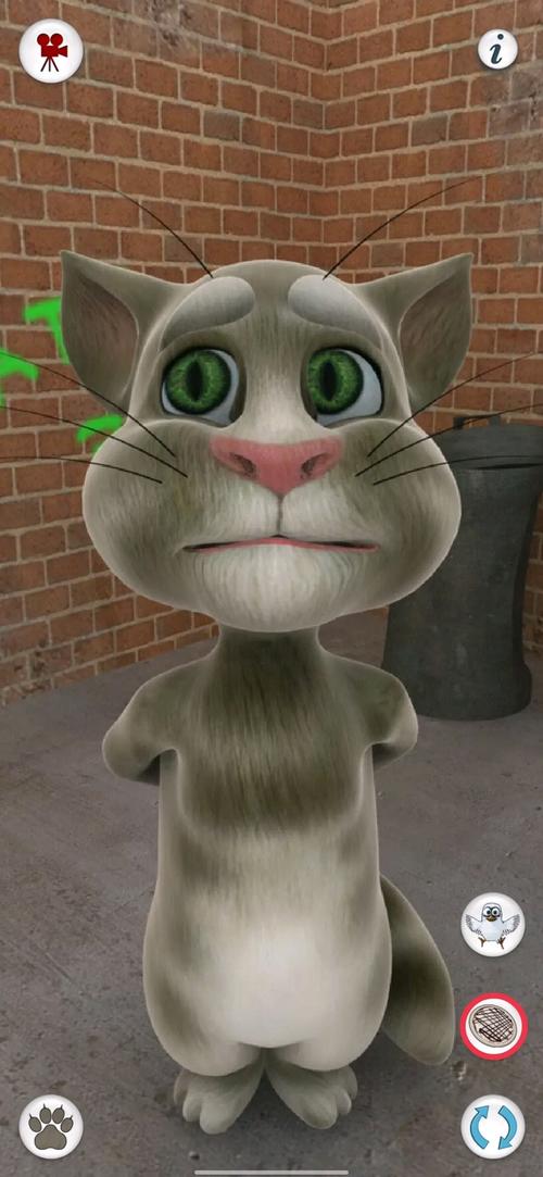 会说话的汤姆猫4旧版安卓