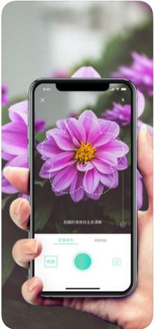 形色安卓版下载