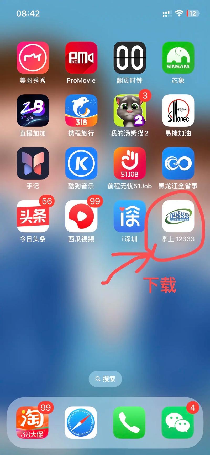 掌上12333免付费版