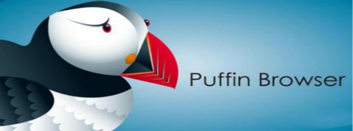 Puffin浏览器国际版绿色版汉化版