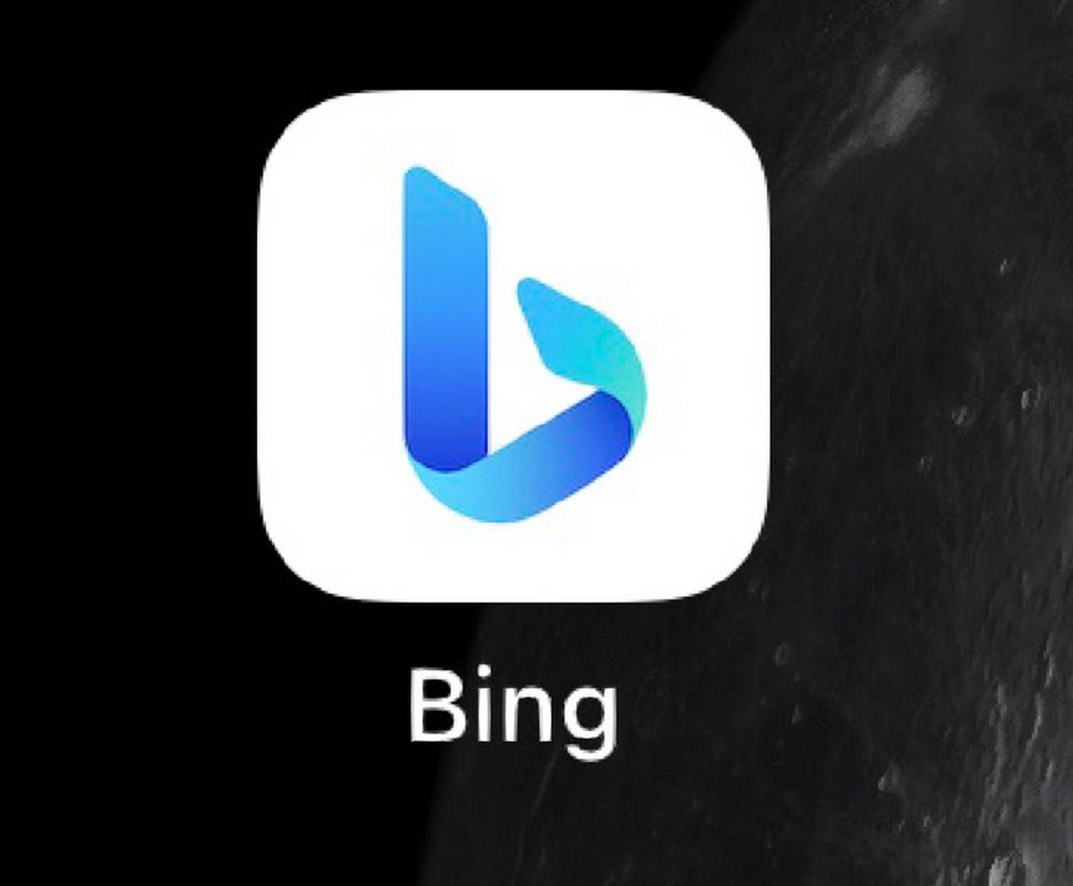 bing词典小说版