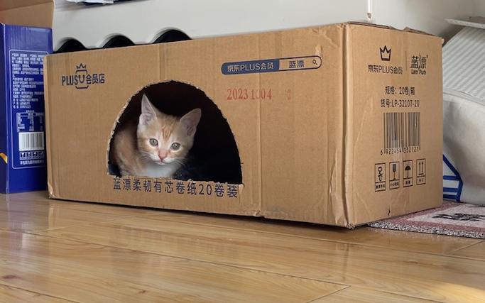 猫窝纸箱