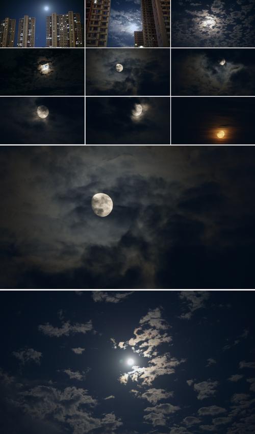 月光视频