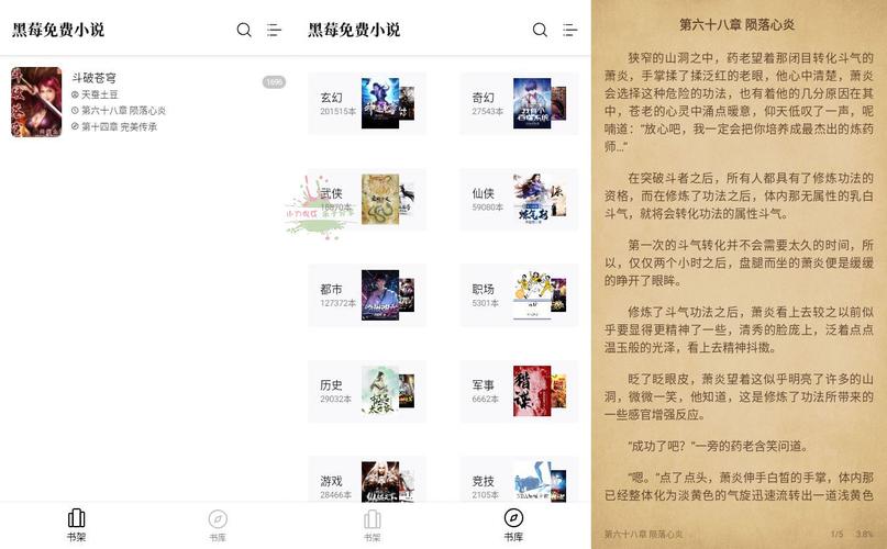 黑莓小说app去广告版