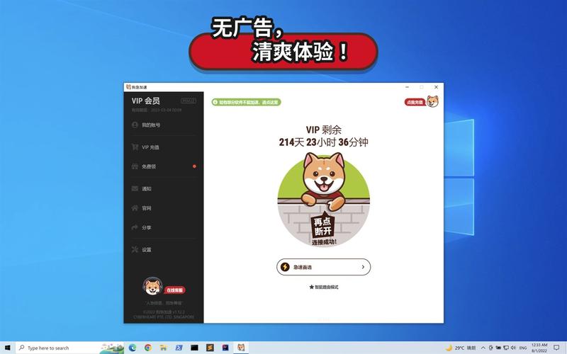 狗急vp加速器下载