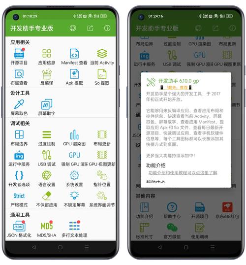 开发者助手修复版