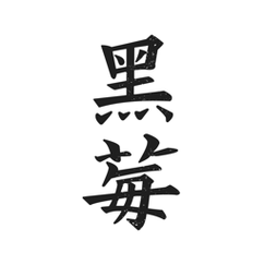 黑莓小说app精简版