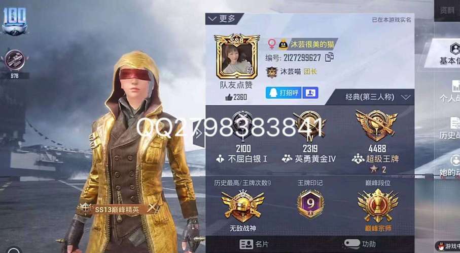 至尊金龙套美化包