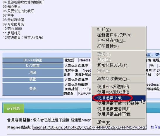 Magnet磁力