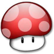 蘑菇加速器v2.6.3