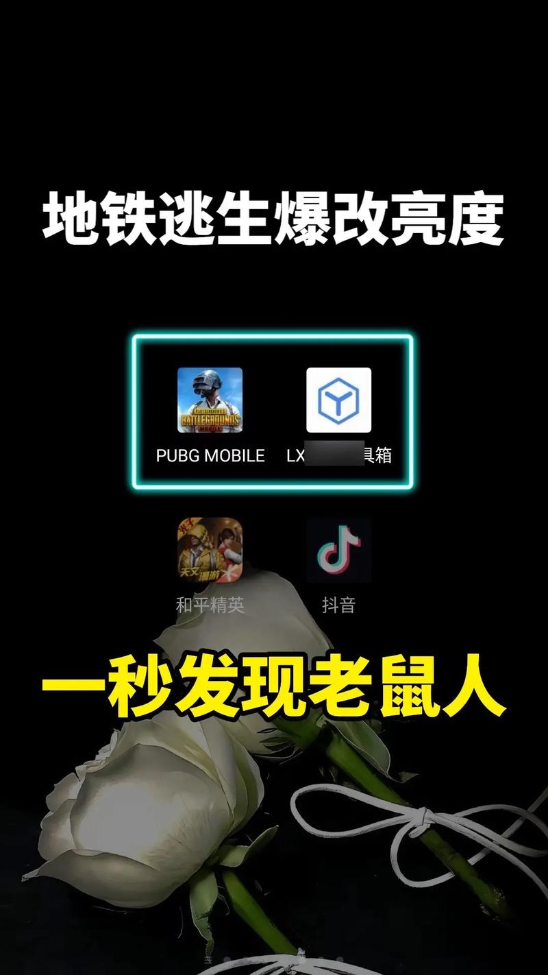 抖音耗子修改版