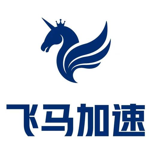 飞马NPV加速器极速版app