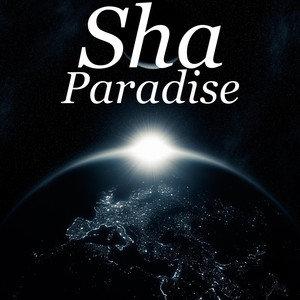 Paradise优化版