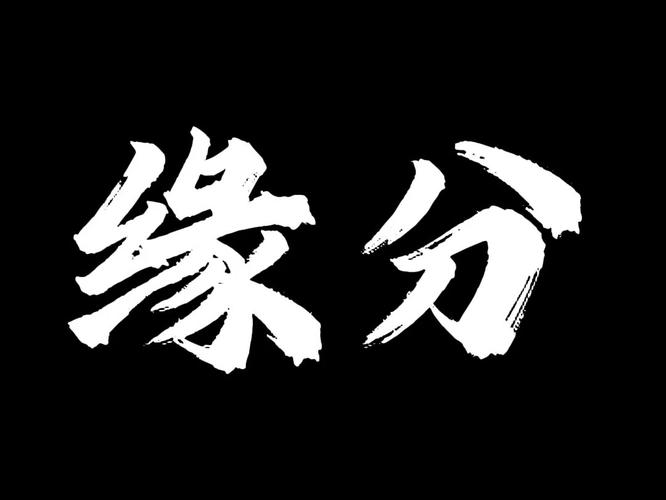 缘分吧免费阅读无弹窗