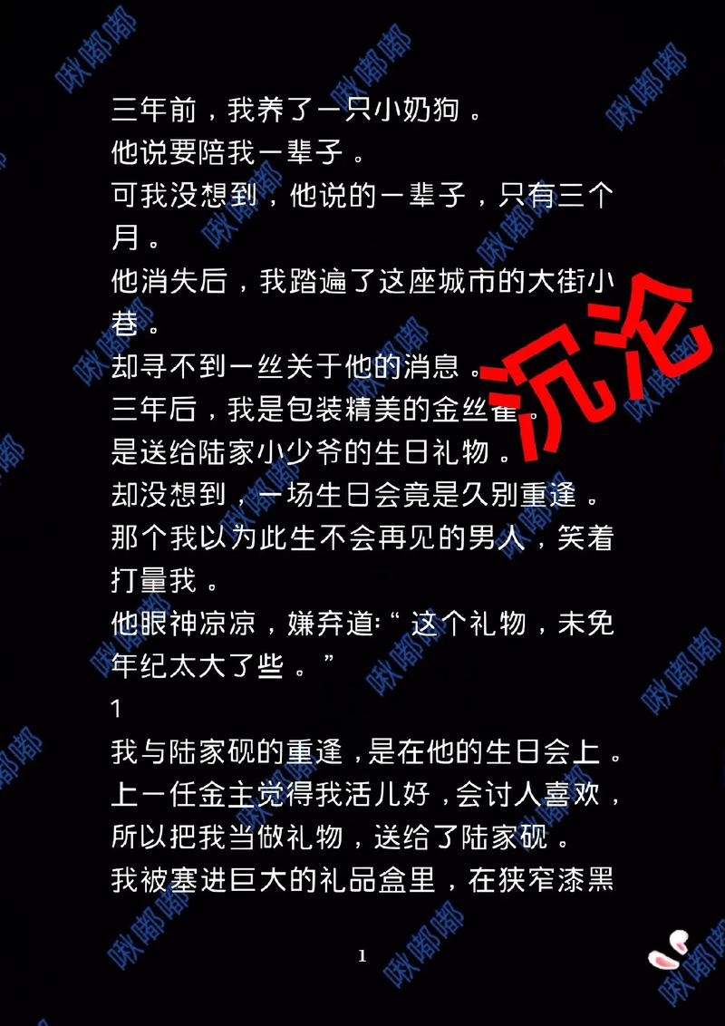 沉沦韵母小说全文阅读