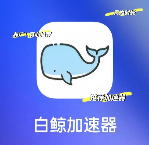 白鲸加速器官方版下载