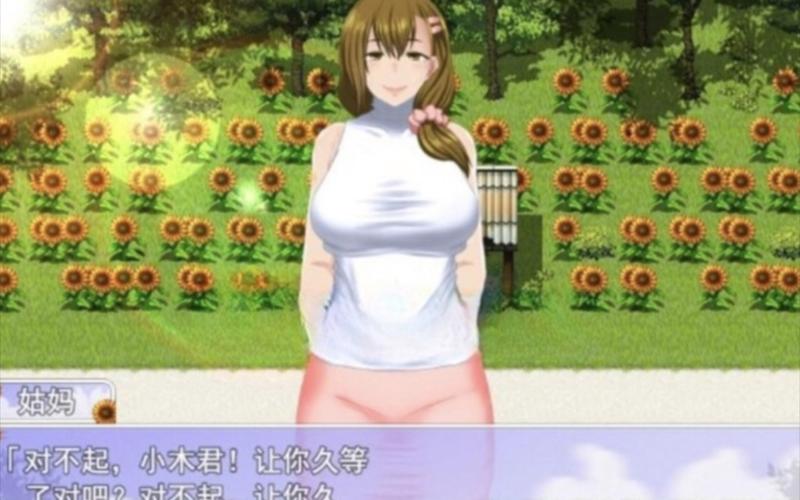 我的暑假秘密回忆汉化去广告版