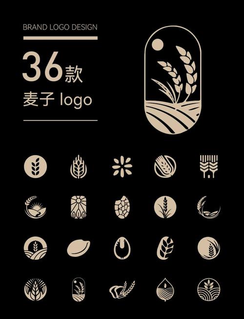 小麦直播下载安卓中国版