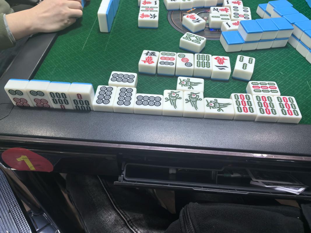贵阳捉鸡无限次数版