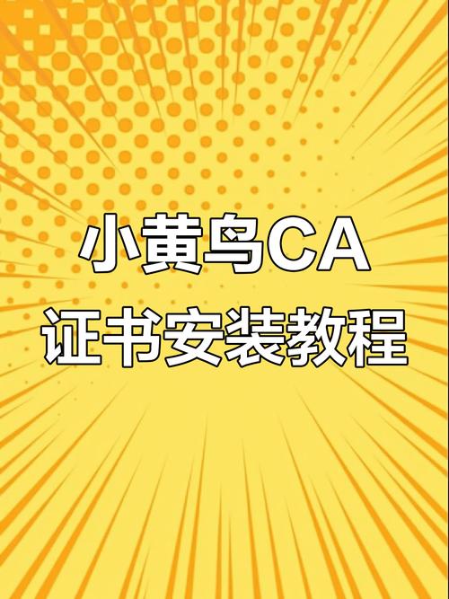 黄鸟ca证书下载安装流程安卓破解大数据版