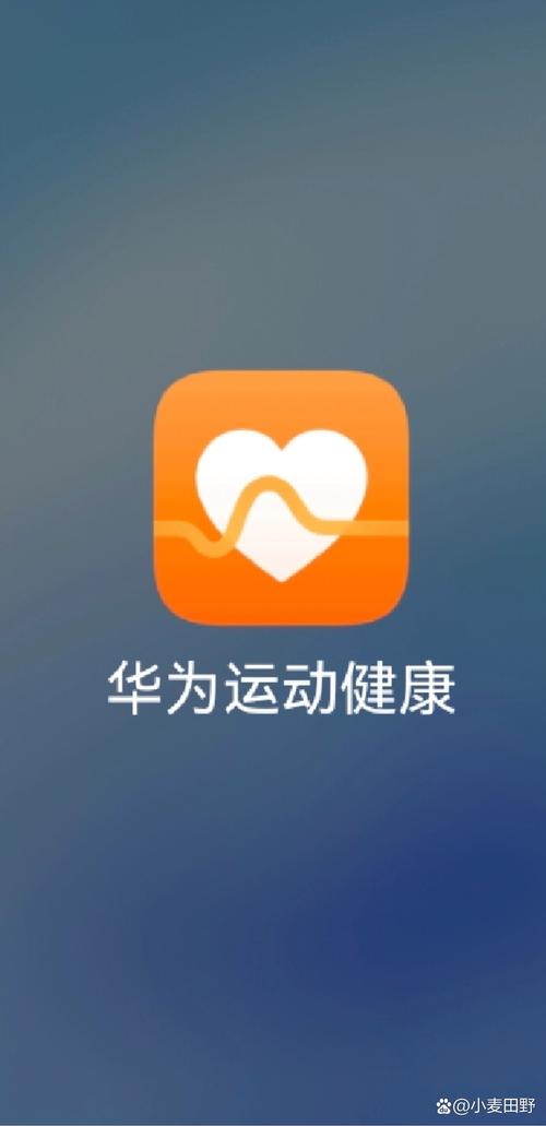 华为运动健康手表APP下载学习版