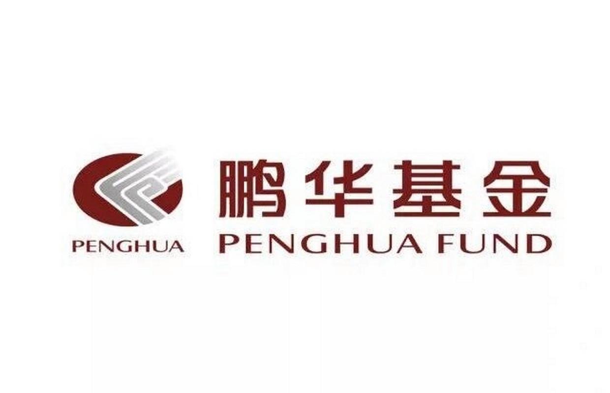 鹏华导剪版