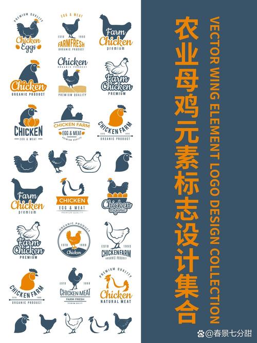 牧场养鸡