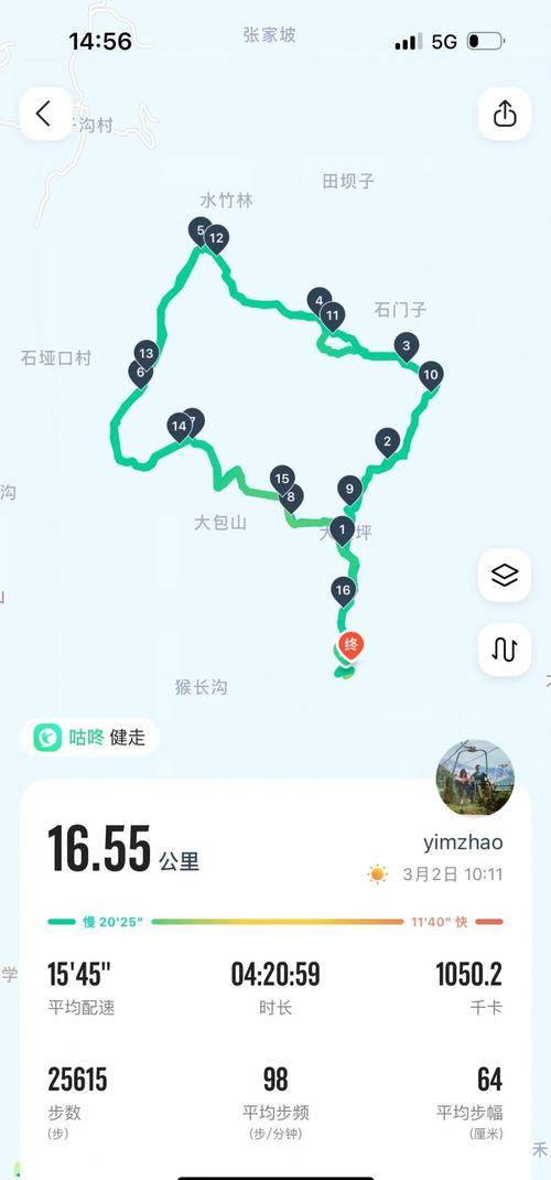 徒