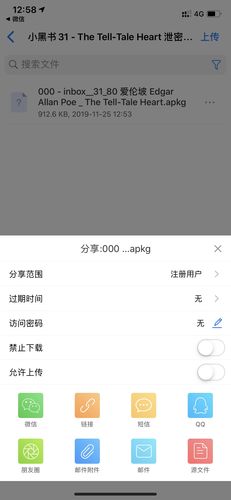 小黑官网安卓绿色版