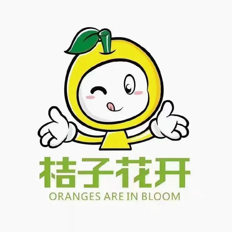 橙子App永久vip