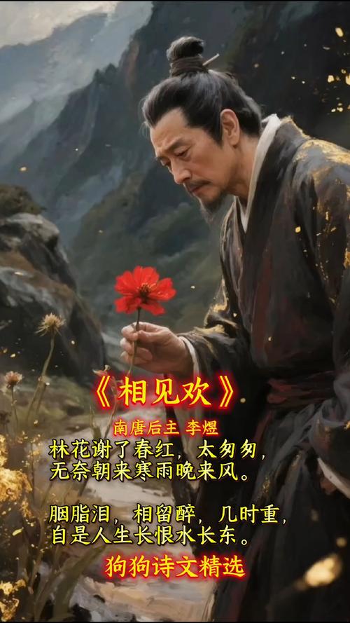 相见app