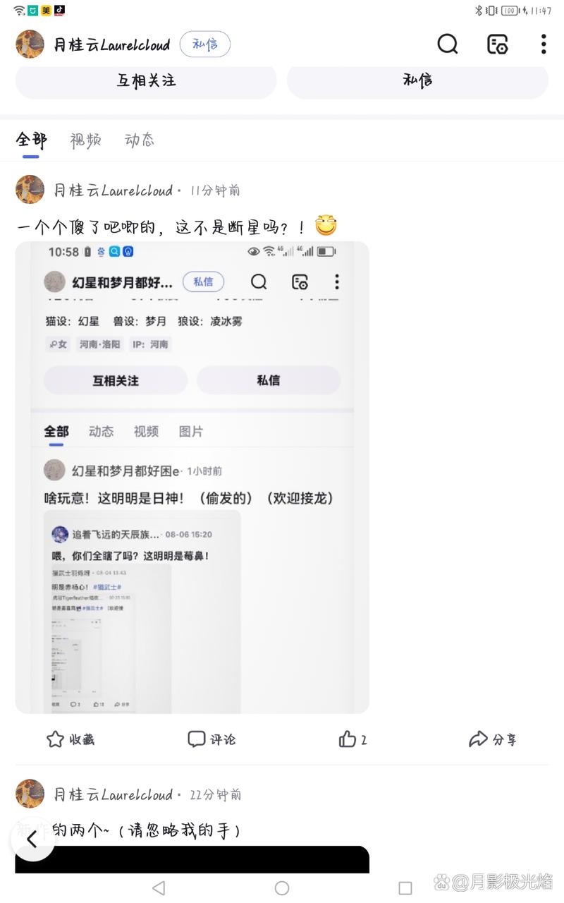 QT猫武士赚钱版安卓去广告版