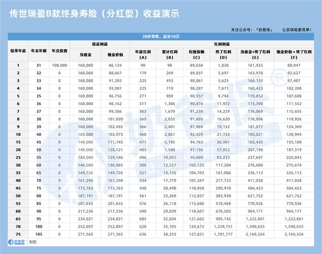 阳光矿场分红版