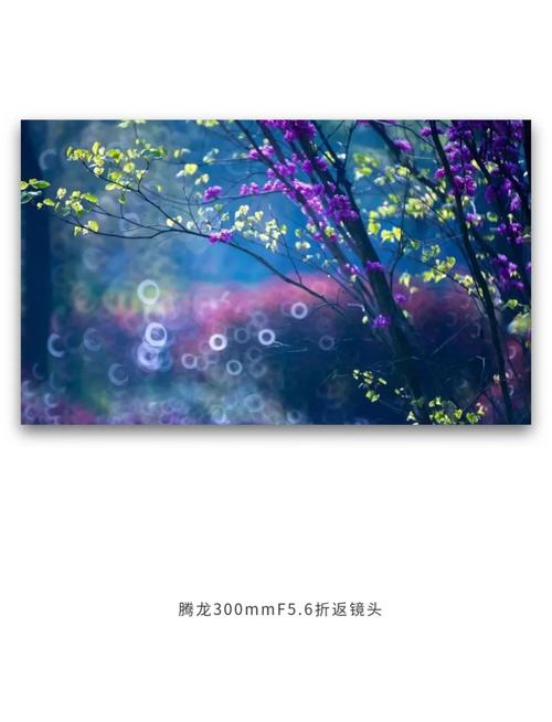 折返摄影安卓版下载