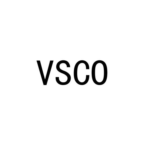 vsco破解版2026下载永不升级版